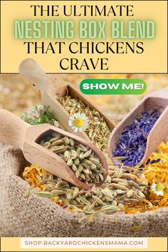 the ultimate nesting box blend that chickens crave