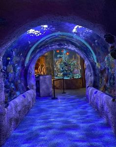 a tunnel that has blue lights on the walls and water running through it in front of a fish tank