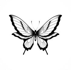 a black and white drawing of a butterfly