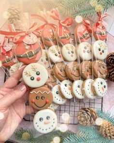 there are many decorated christmas cookies on the rack next to pine cones and fir trees