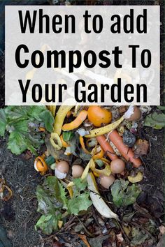 an image of composting in the garden with text overlay that reads when to add compost to your garden