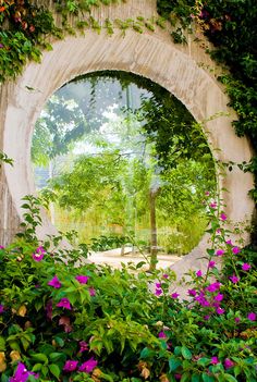 an arched window in a stone wall with purple flowers and greenery on the outside