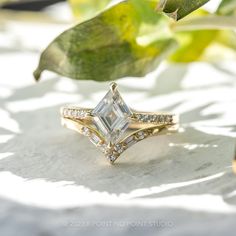 an engagement ring sitting on top of a table next to a leafy green plant