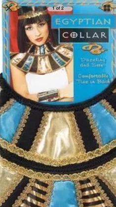 an egyptian collar with gold and blue trimmings on it's chest, in front of a cardboard box