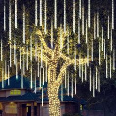 a large tree with lights hanging from it's branches in front of a house