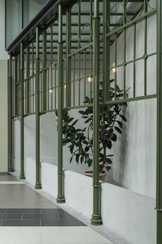 an empty hallway with green railings and potted plants