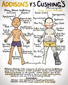 the anatomy of a person's body and its corresponding parts, including their names