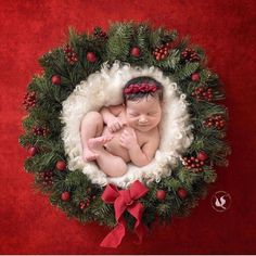 a newborn baby is curled up in a christmas wreath