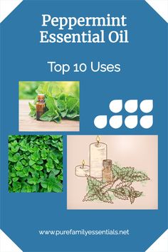 Peppermint essential oil is a popular and versatile oil with many purposes. Here are the top 10 uses for peppermint essential oil, including its benefits as an air purifier, stress reducer, mood enhancer and more! Dust off that peppermint bottle and put this ultimate guide to peppermint essential oil to good use! Peppermint Essential Oil Benefits, Peppermint Essential Oil Uses, Essential Oils For Sleep, Holistic Medicine