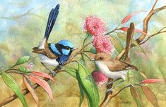 two birds sitting on top of a tree branch next to pink and green flowers in watercolor