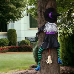 a scarecrow is hanging on the side of a tree