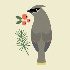 an illustration of a bird with berries in its beak