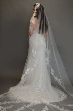 the back of a bride's wedding dress with a veil