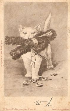 an old black and white photo of a cat with feathers on it's back