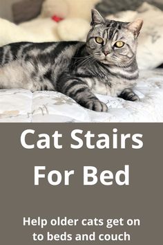 Cat stairs for bed Diy Cat Steps For Bed, Stairs For Bed, Cat Stairs, Cardboard Cat, Bed Stairs, Cat Steps, Pet Stairs, Pet Steps