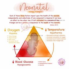 the diagram shows how to use nematia