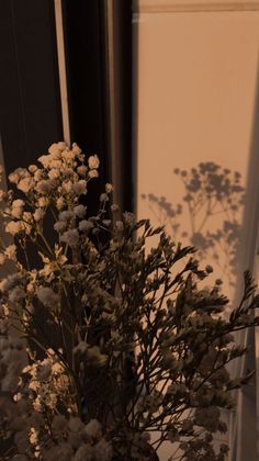 a vase filled with lots of white flowers next to a window sill on a sunny day