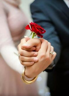 a person holding a red rose in their hand