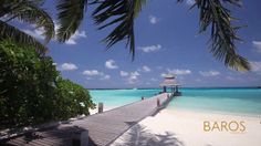 a dock leading to the beach with palm trees