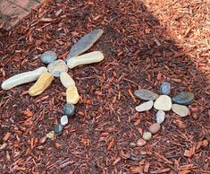 some rocks and stones are arranged in the shape of a flower on top of mulch