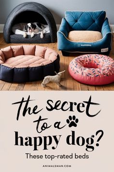 the secret to a happy dog? these top - rated beds are perfect for small dogs