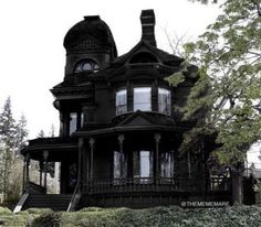 an old black victorian house in the woods