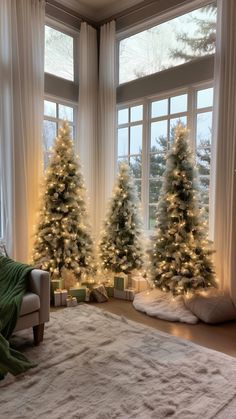 three christmas trees in front of large windows