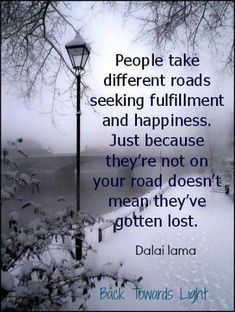 a street light in the snow with a quote on it saying people take different roads seeking fulfillment and happiness just because they're