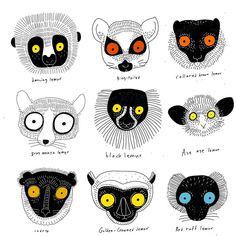 six different types of cats with yellow eyes and black furs, all in various shapes and sizes