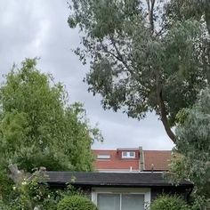 a house with trees and bushes around it