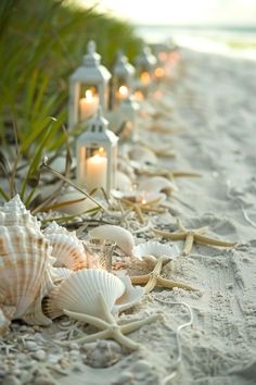 candles and seashells are lined up on the beach