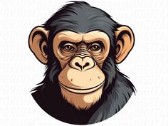 a chimpan face with an angry look on it's face, in front of a white background