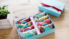 two boxes filled with candy sitting on top of a wooden floor next to a potted plant