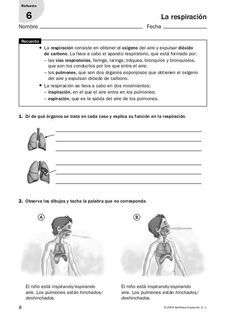 the diagram shows how to read and understand the human body's organs in spanish