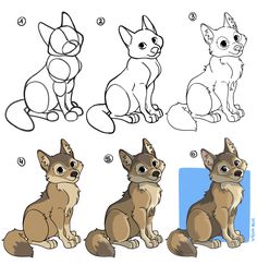 how to draw a cute little dog with four different poses and colors in this step - by - step drawing lesson