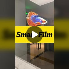 a fish that is sitting on top of a glass door with the words small film in front of it