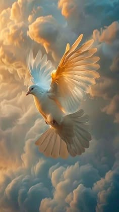 a white bird flying through the air with clouds in the background