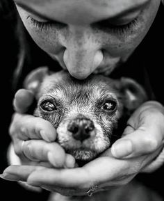 a woman holding a small dog in her hands