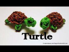 there are two small turtle brooches on top of each other with the word turtle written below them