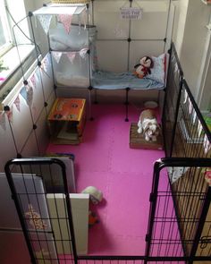 a small room with pink flooring and caged beds