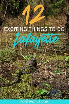 swampy area with text overlay reading 12 exciting things to do in lafayette