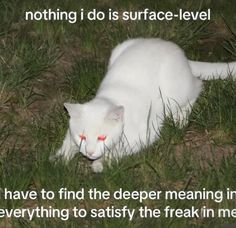 a white cat is laying in the grass with its eyes closed and it says nothing i do is surface - level