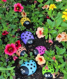 colorful painted rocks in the garden with flowers