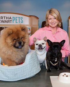 a woman sitting at a desk with three dogs in front of her and one on the other side