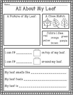 an all about my leaf worksheet