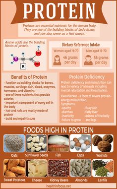 Protein Infographic, Protein Deficiency, Seafood Meals, Food Nutrition Facts, Protein Rich Foods, Nutrition Education, Proper Nutrition, Protein Snacks, Healthy Nutrition