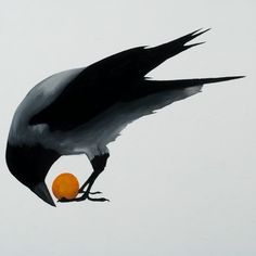 a black bird with an orange ball in its beak