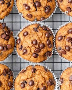 chocolate chip muffins cooling on a wire rack