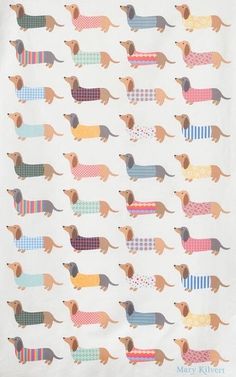 a kitchen towel with dachshunds in different colors and patterns on white background