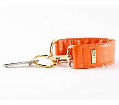 an orange leather dog collar with gold hardware